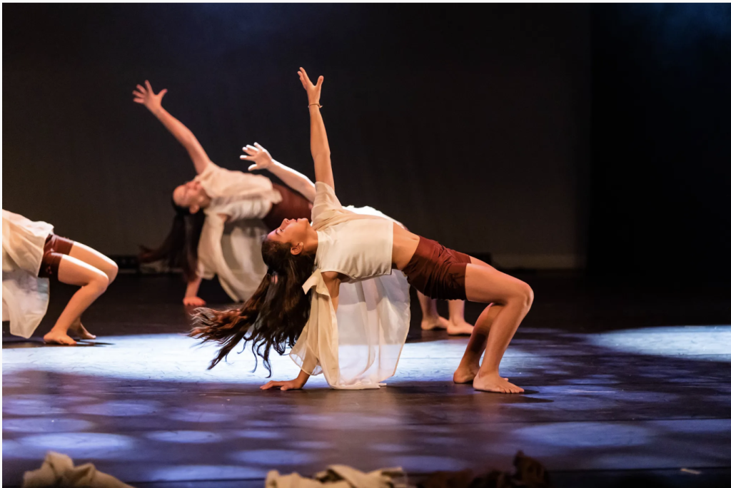 cours de danse comtemporaine